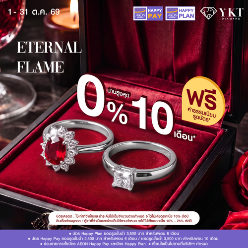 Promotion - ผ่อน 0% AEON นานสูงสุด 10 เดือน	